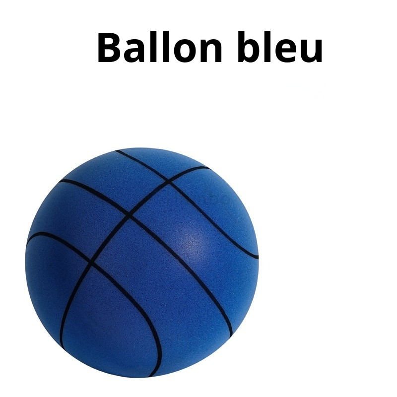 Ballon de basket bleu